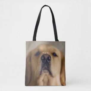 Bolso De Tela Tratado de equilibrio de la recuperación dorada en