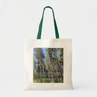 Trees Forest Woods Thoreau Inspirador Cita