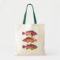 Trío de peces rojo y amarillo