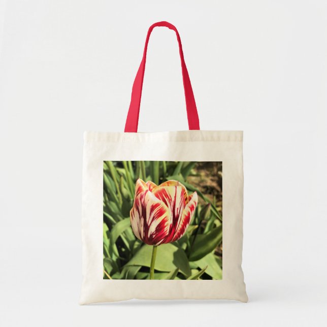 Bolso De Tela Tulipán rojo y blanco (Frente)