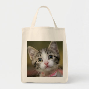 Bolso De Tela Un lindo gatito con ojos verdes