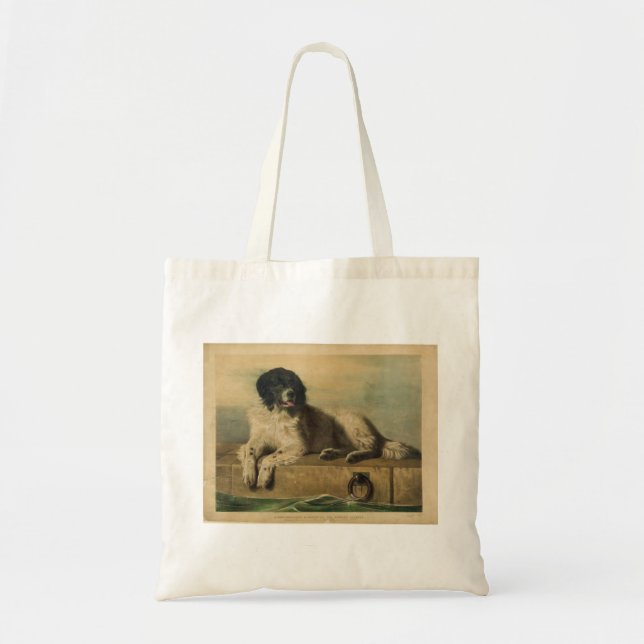 Bolso De Tela Un miembro distinguido de la Sociedad Humana (Frente)