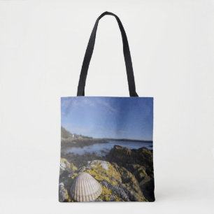 Bolso De Tela Un Seashell se sienta en una roca el   Dumfries,