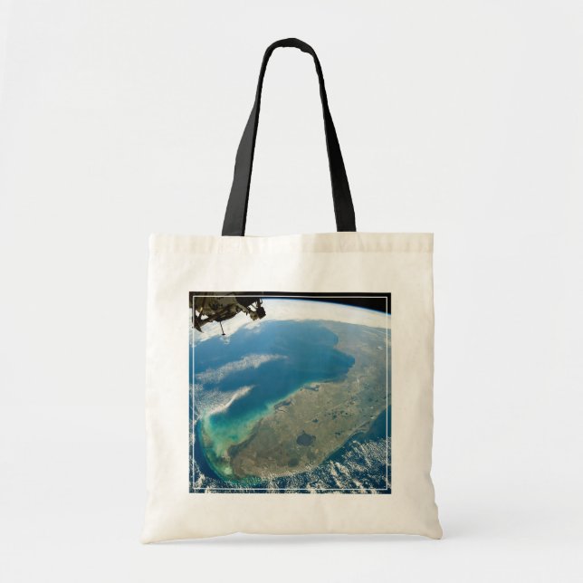Bolso De Tela Una Florida Oblíque, En La Costa Sureste (Frente)