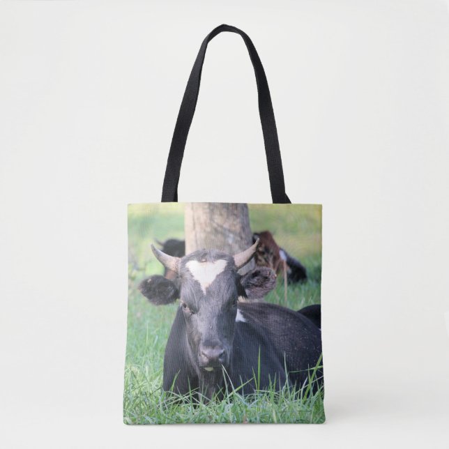 Bolso De Tela Vaca (Anverso)