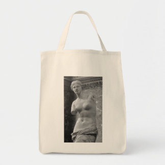 Bolso De Tela Venus de Milo