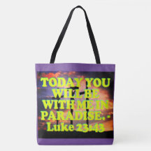 Verso de la biblia a partir del 23:43 de Lucas.