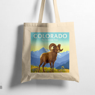 Bolso De Tela Vintage Colorado