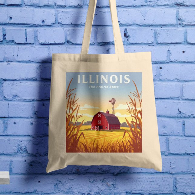 Bolso De Tela Vintage Illinois (Subido por el creador)