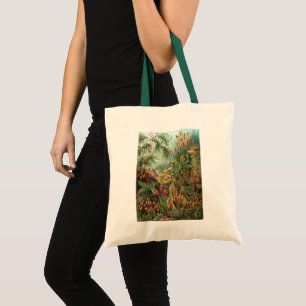 Bolso De Tela Vintage Moss Plants de Ernst Haeckel, Muscinae