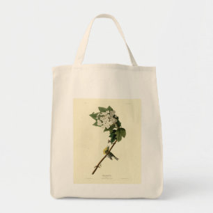 Bolso De Tela Vireo con gotas amarillas, aves auduónicas de Amér