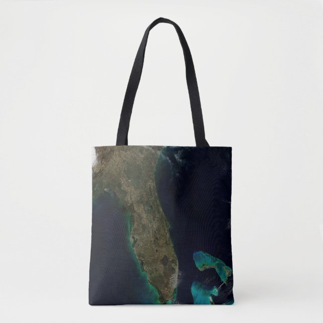 Bolso De Tela Vista Satelital De Florida. (Anverso)