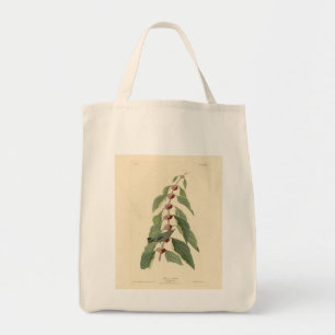 Bolso De Tela Warbler azul-verde de los pájaros de América de Au