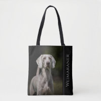 Weimaraner
