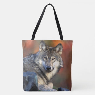Bolso De Tela Wolf