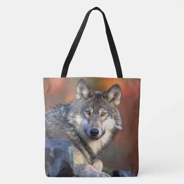 Bolso De Tela Wolf (Anverso)