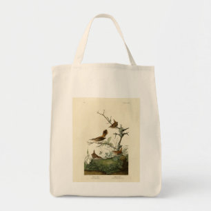 Bolso De Tela Wren de invierno, Wren de rock, pájaros de América