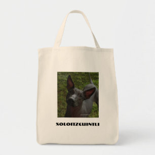 Bolso De Tela Xoloitzcuintli
