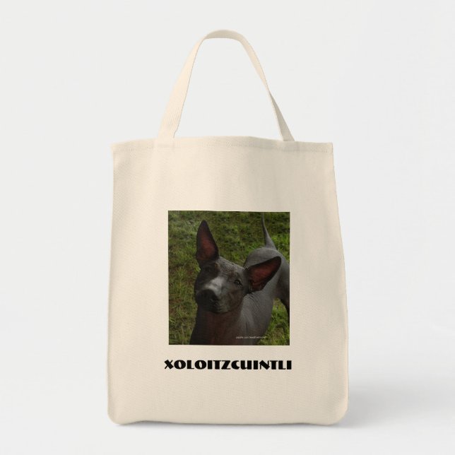 Bolso De Tela Xoloitzcuintli (Frente)