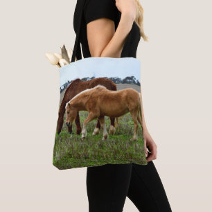 Bolso De Tela Yegua castaña y potro Palomino,