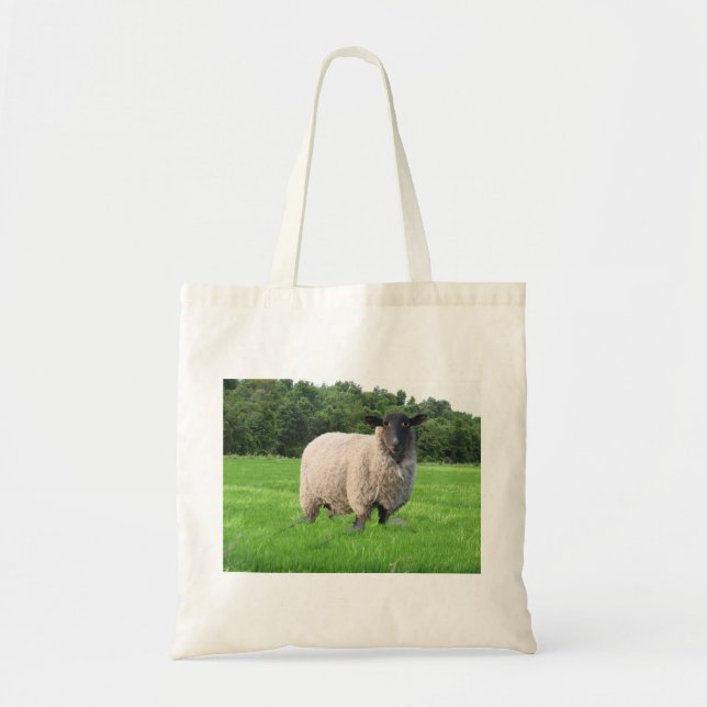 Bolso de ultramarinos del paño de Sheal (Frente)