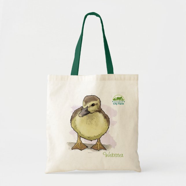 Bolso de Webster (Frente)