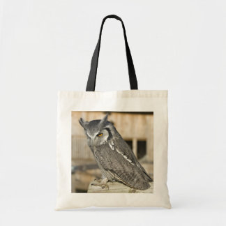Bolso del búho de Scops