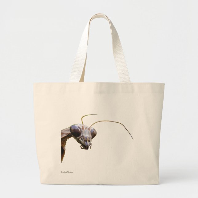 Bolso del ~ del predicador (Frente)