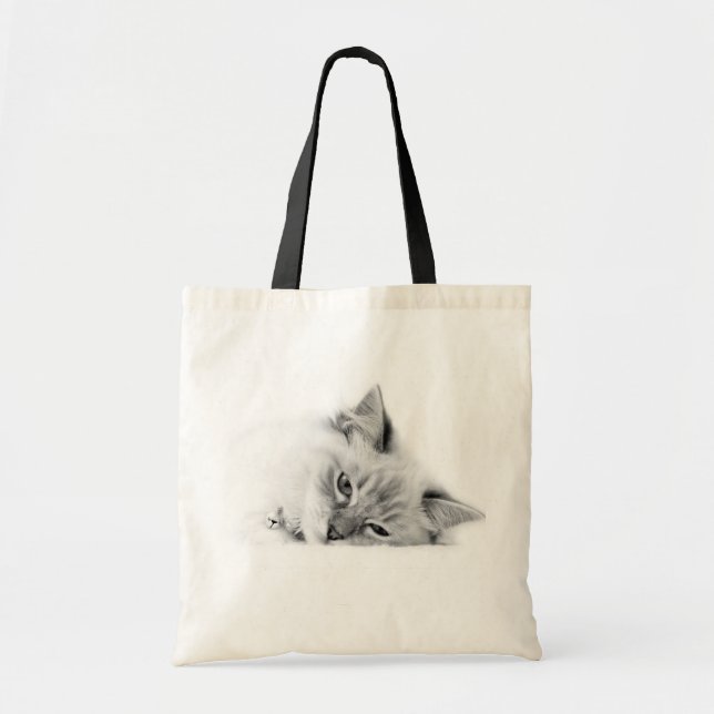 Bolso del gato de Ragdoll (Frente)