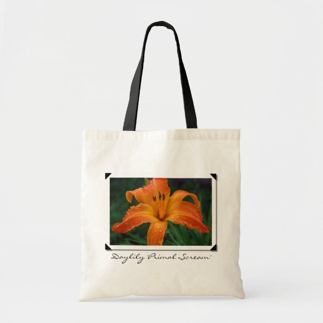 Bolso del "grito principal" del Daylily (Frente)