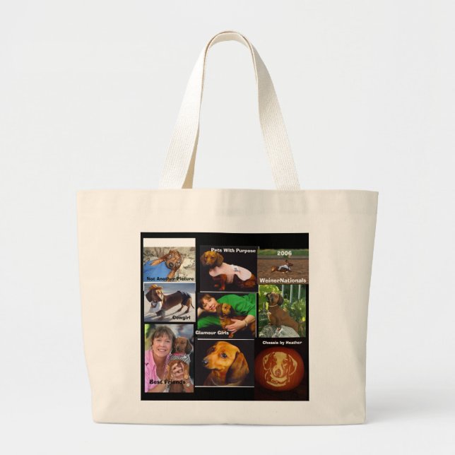 Bolso del orgullo (Frente)