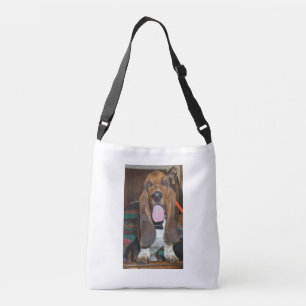 Bolso del perro de afloramiento