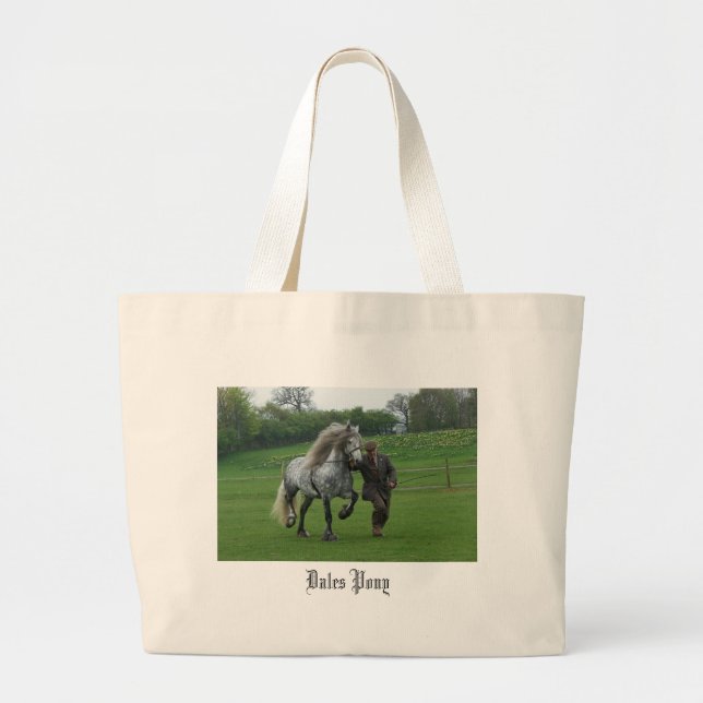 Bolso gris del potro de los valles (Frente)