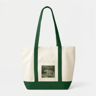 Bolso lindo del león