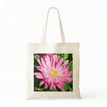 Bolso rosado bonito del aster