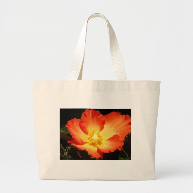 Bolsos de la begonia (Frente)