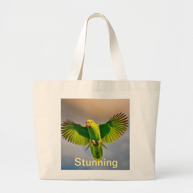 Bolsos sorprendentes (Frente)