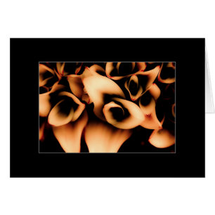 Bombachos del otoño