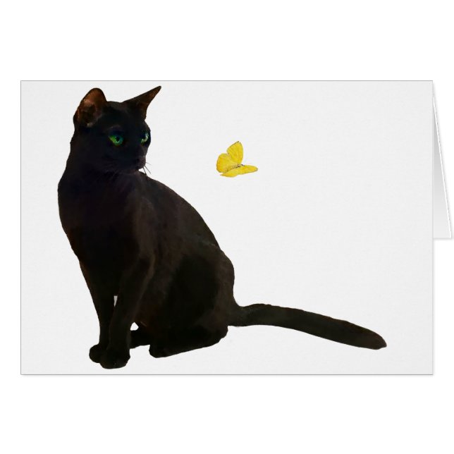 Bombay Cat & Butterfly (Anverso (Horizontal))