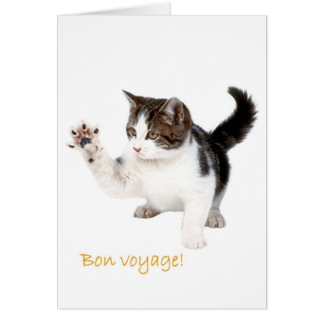 ¡Bon Voyage! (Frente)