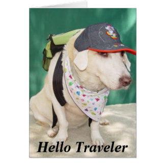 Bon Voyage