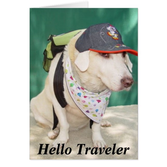 Bon Voyage (Frente)