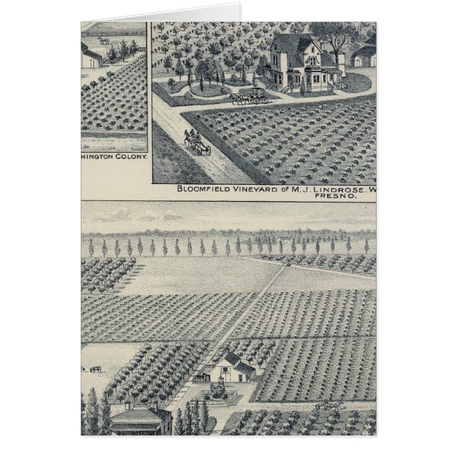 Bonacourt Ranch, Washington Colony, California (Frente)