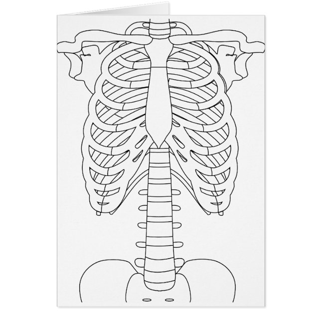 bone_01 (Frente)