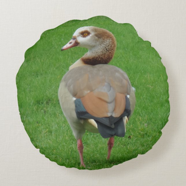 Bonita almohada redonda de pájaro (Reverso)