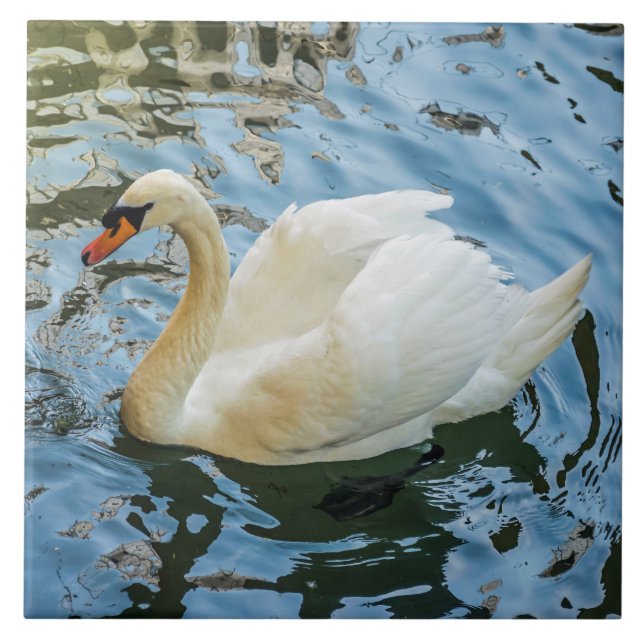 Bonita baldosa cerámica con vistas al cisne blanco (Frente)