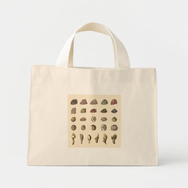 Bonita bolsa de metal de Barnacle (Frente)