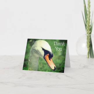 Bonita carta de agradecimiento a la naturaleza de