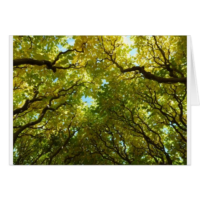 Bonita carta de árboles dorados (Anverso (Horizontal))