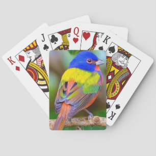 Bonita cubierta de pájaro para jugar cartas